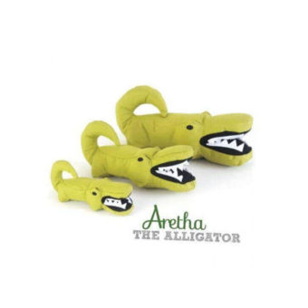 aretha-alligator