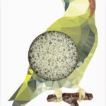 Konjac mini pore refiner - woodland woodpecker, με πράσινη άργιλο